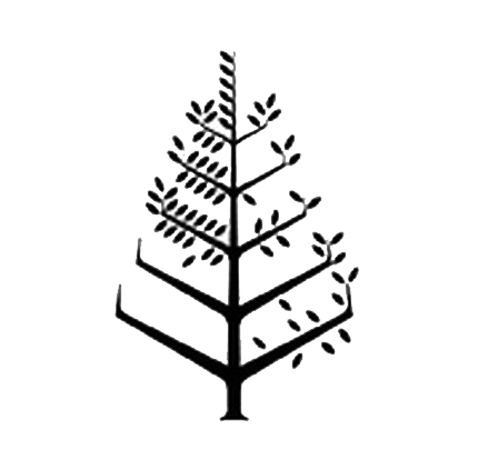 The Four Seasons Hotel Boston Logo